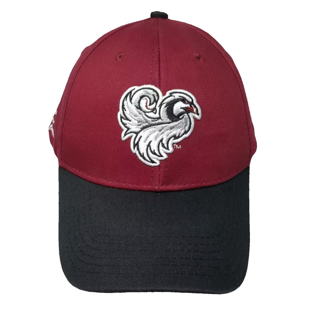 South Carolina Gamecocks NCAA Baseball Cap Red Black OS Season Ticket Holder